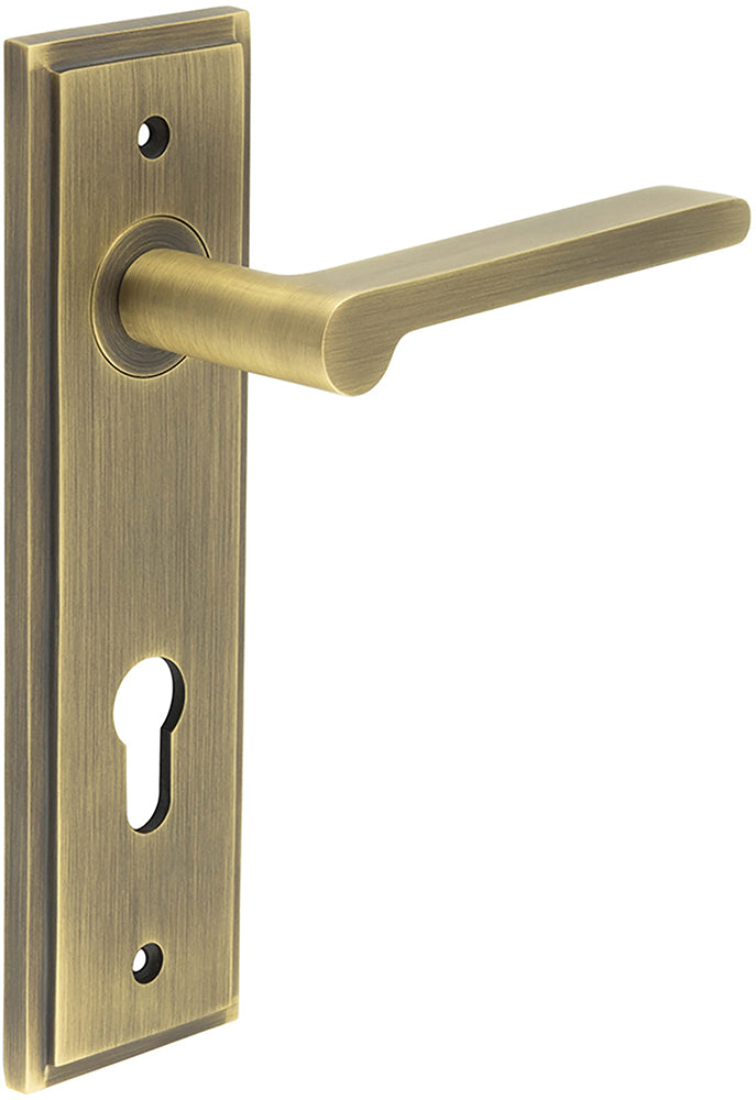 Blade Pattern Lever Handle On A Large Rectangular Backplate - Antique Brass