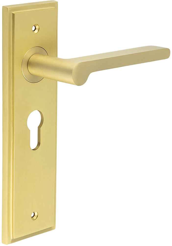 Blade Pattern Lever Handle On A Large Rectangular Backplate - Satin Brass