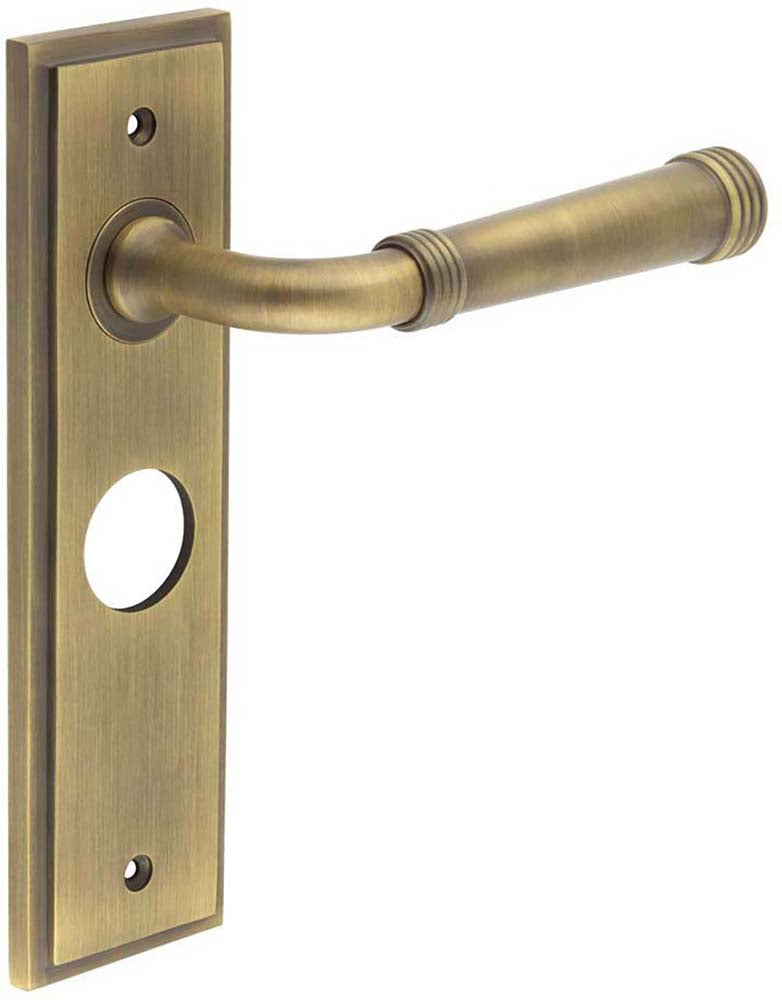 Classic Pattern Lever Handle With Ring Detail On A Large Rectangular Backplate - Antique Brass