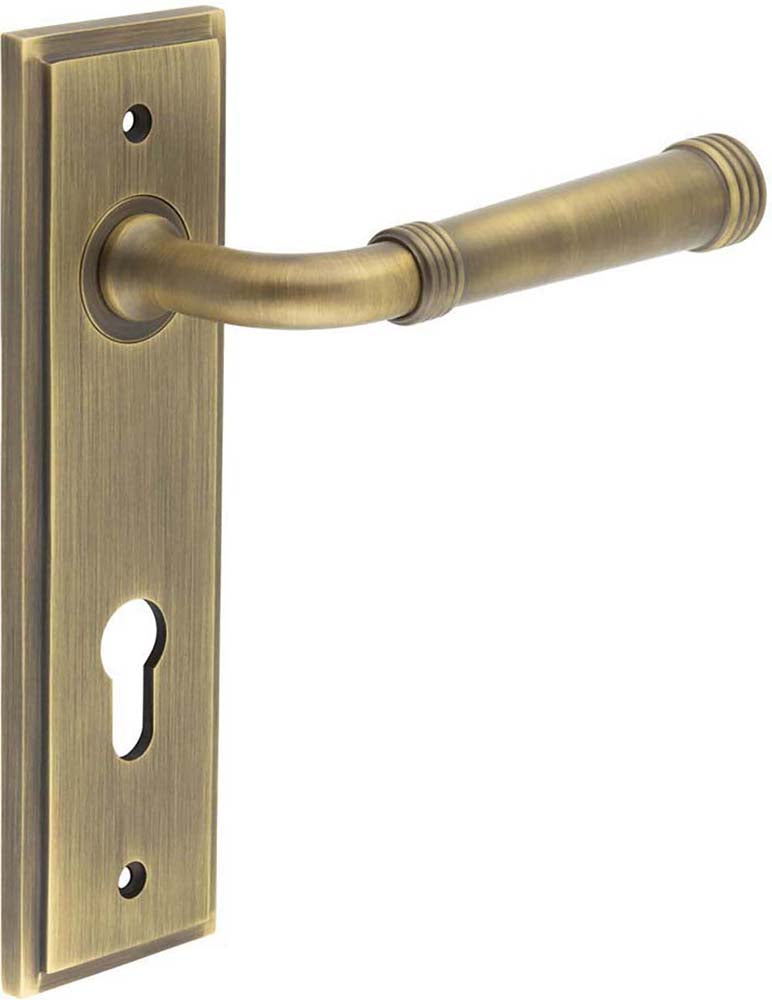 Classic Pattern Lever Handle With Ring Detail On A Large Rectangular Backplate - Antique Brass