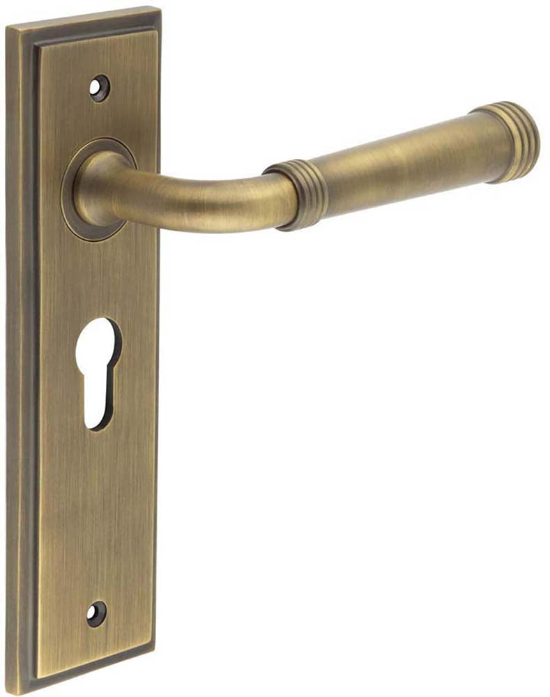 Classic Pattern Lever Handle With Ring Detail On A Large Rectangular Backplate - Antique Brass