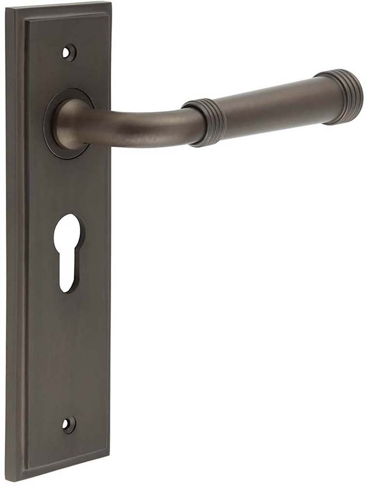 Classic Pattern Lever Handle With Ring Detail On A Large Rectangular Backplate - Dark Bronze