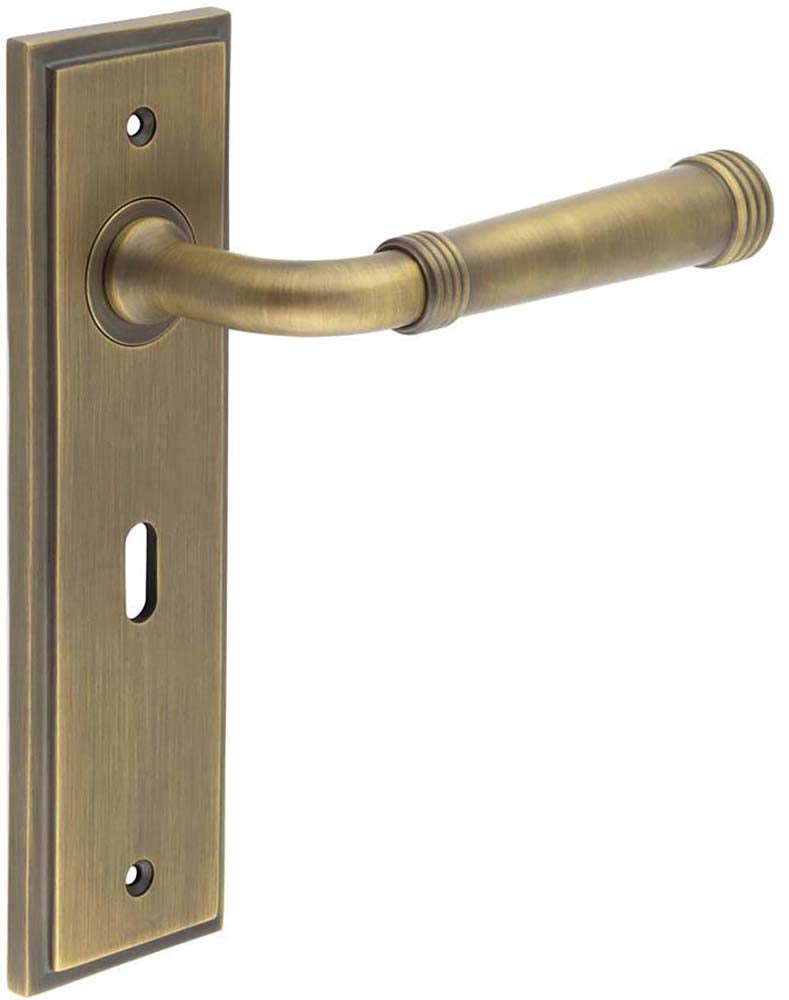 Classic Pattern Lever Handle With Ring Detail On A Large Rectangular Backplate - Antique Brass