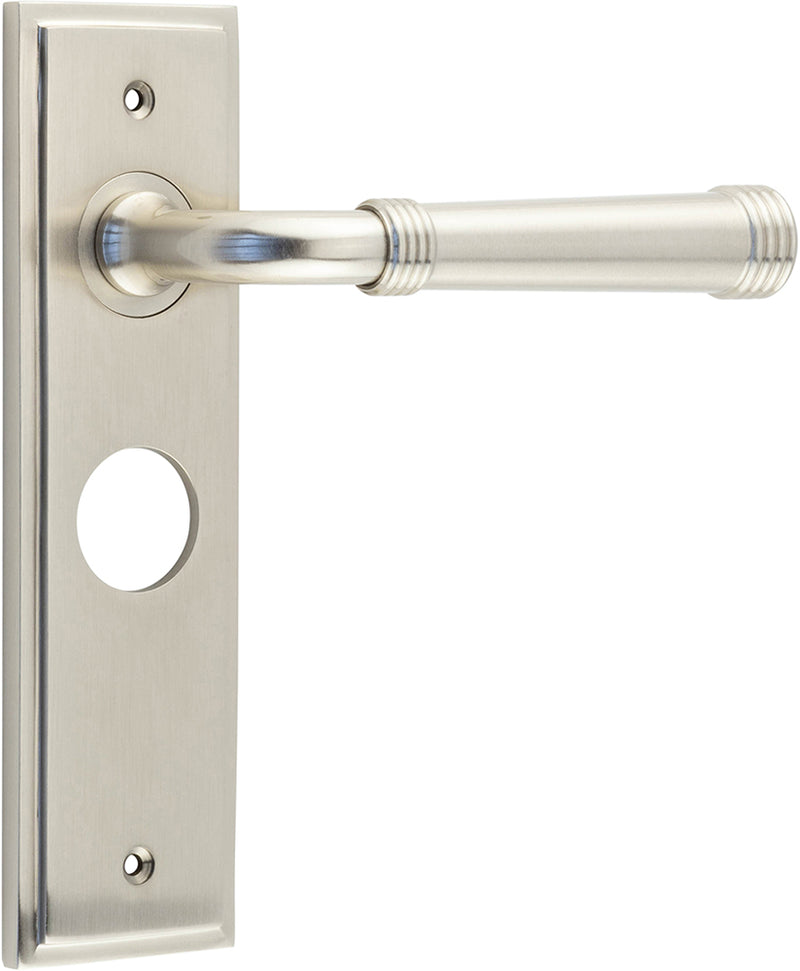 Classic Pattern Lever Handle With Ring Detail On A Large Rectangular Backplate - Satin Nickel