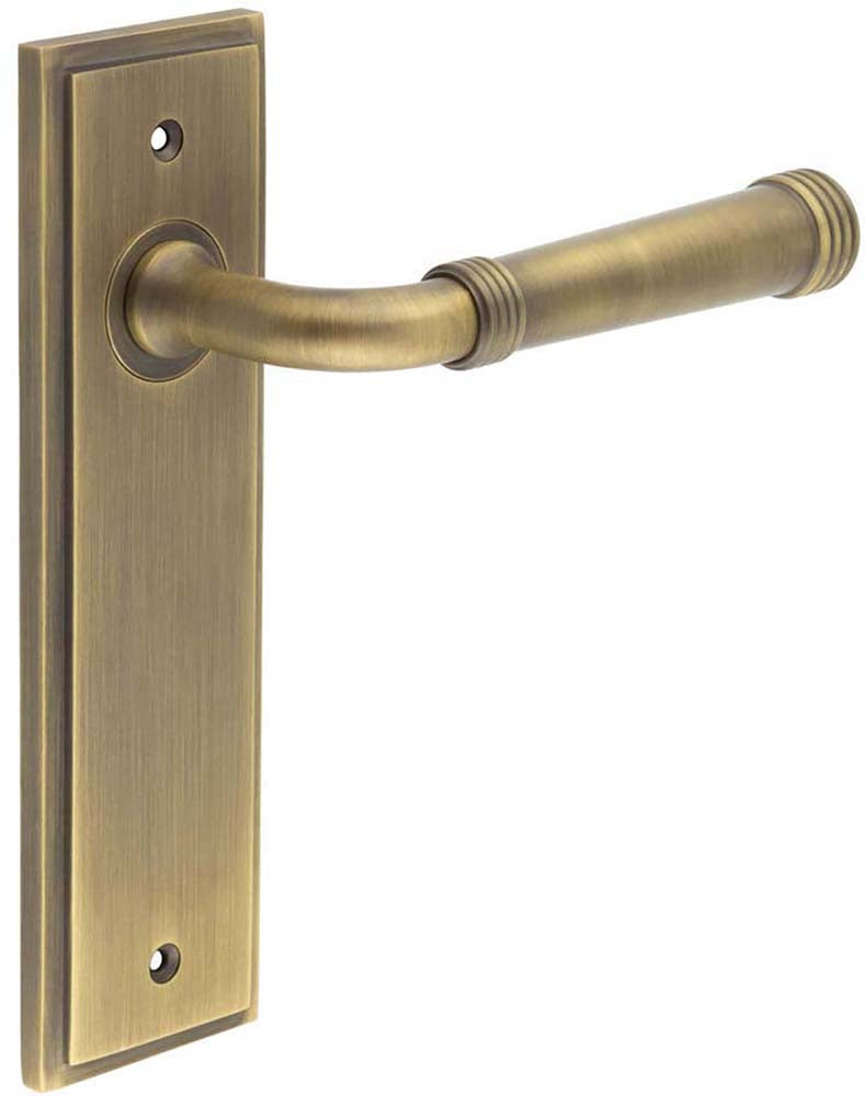 Classic Pattern Lever Handle With Ring Detail On A Large Rectangular Backplate - Antique Brass