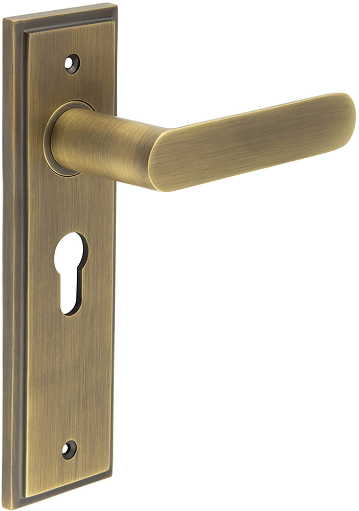 Flat Front Pattern Lever Handle With Rounded End On A Large Rectangular Backplate - Antique Brass