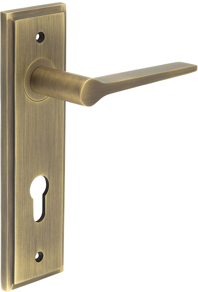 Tappered Pattern Lever Handle On A Large Rectangular Backplate - Antique Brass
