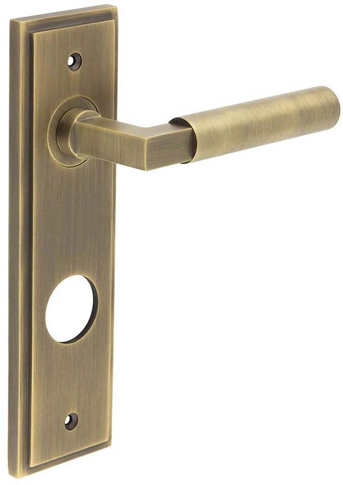 Tubular Pattern Lever Handle On A Large Rectangular Backplate - Antique Brass