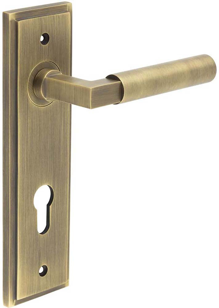 Tubular Pattern Lever Handle On A Large Rectangular Backplate - Antique Brass