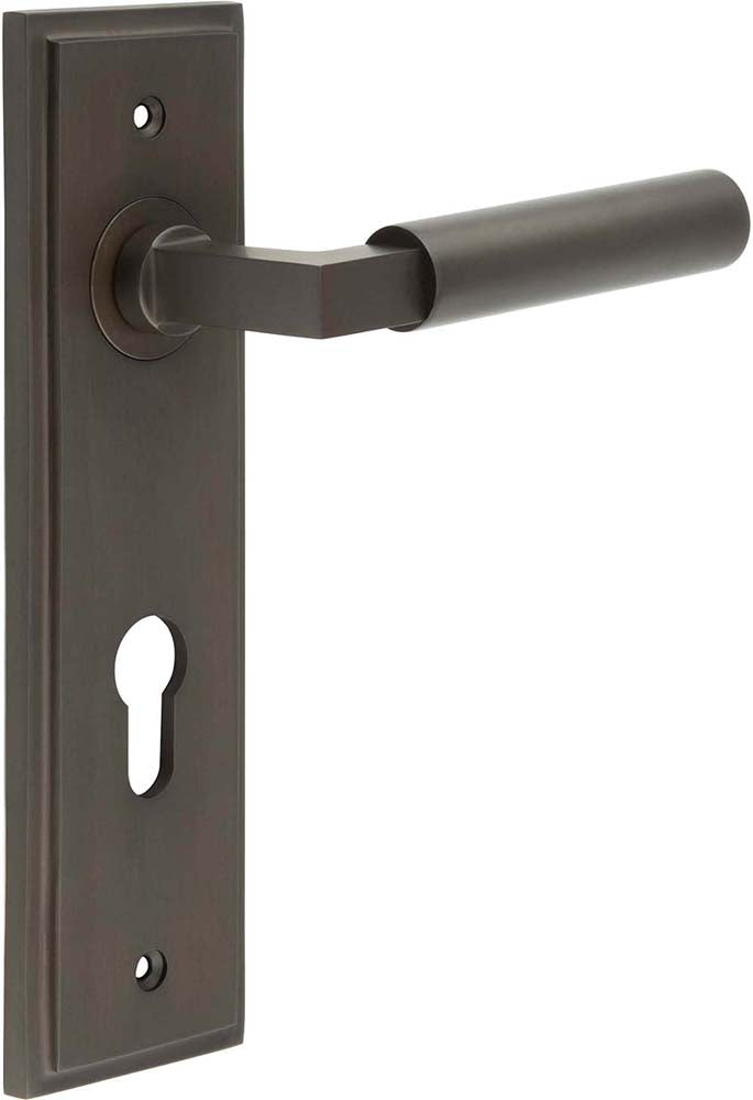 Tubular Pattern Lever Handle On A Large Rectangular Backplate - Dark Bronze