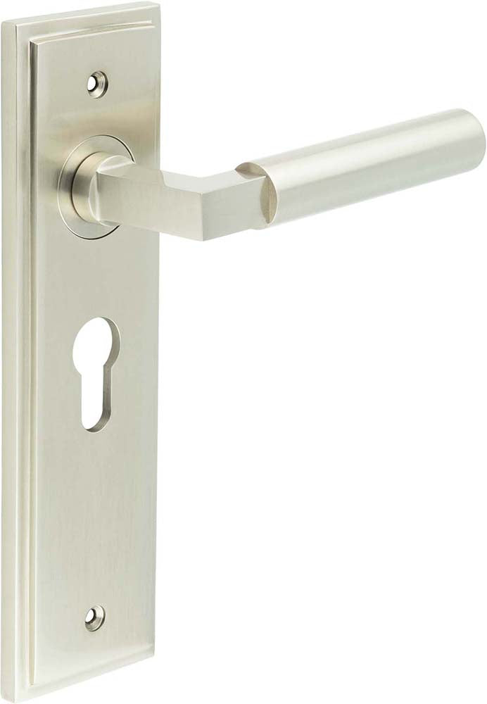 Tubular Pattern Lever Handle On A Large Rectangular Backplate - Satin Nickel
