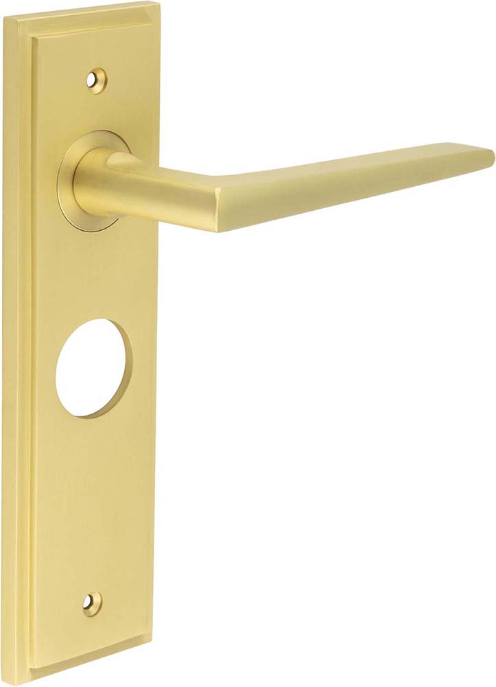 Wedge Pattern Lever Handle On A Large Rectangular Backplate - Satin Brass