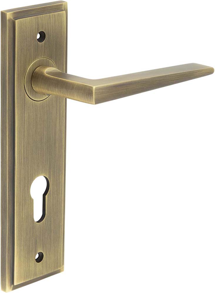 Wedge Pattern Lever Handle On A Large Rectangular Backplate - Antique Brass