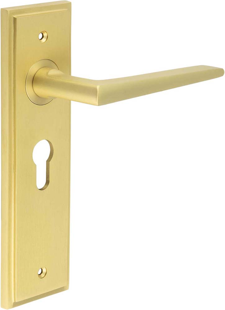 Wedge Pattern Lever Handle On A Large Rectangular Backplate - Satin Brass