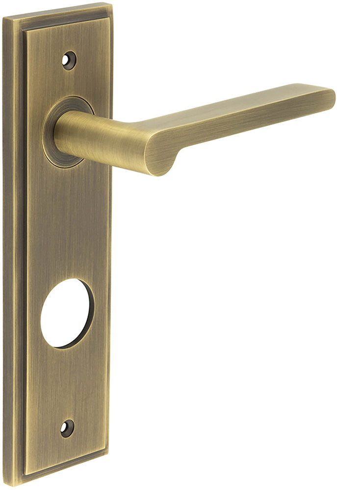 Blade Pattern Lever Handle On A Large Rectangular Backplate - Antique Brass