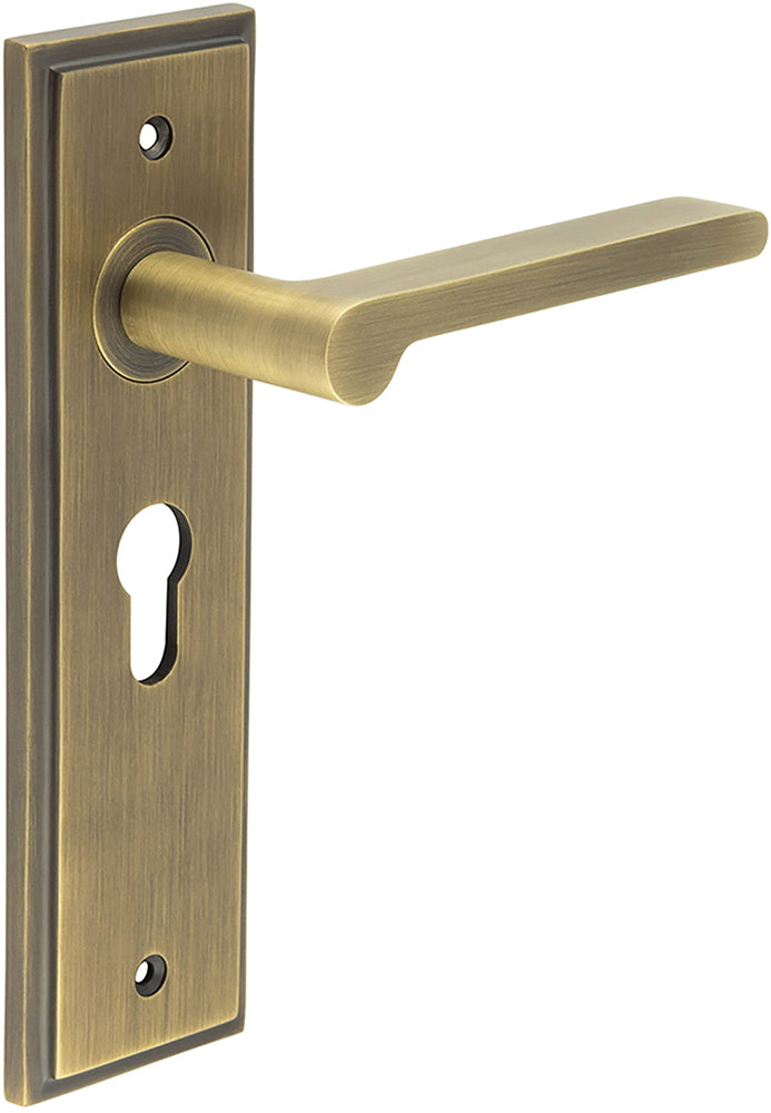 Blade Pattern Lever Handle On A Large Rectangular Backplate - Antique Brass