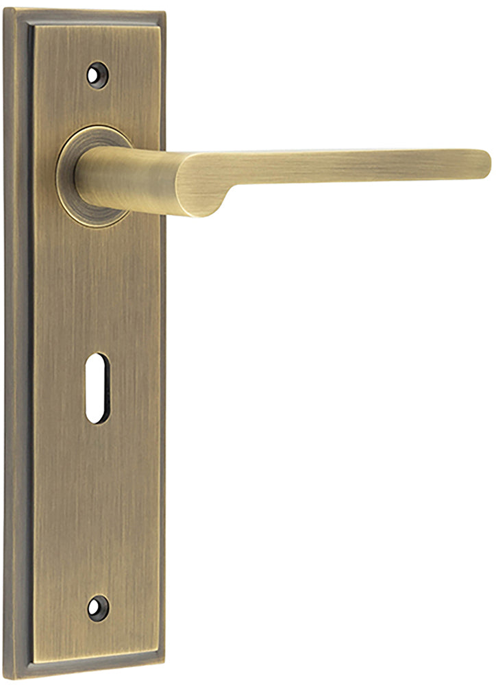 Blade Pattern Lever Handle On A Large Rectangular Backplate - Antique Brass