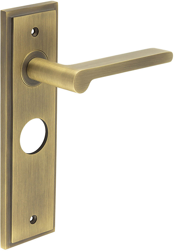 Blade Pattern Lever Handle On A Large Rectangular Backplate - Antique Brass
