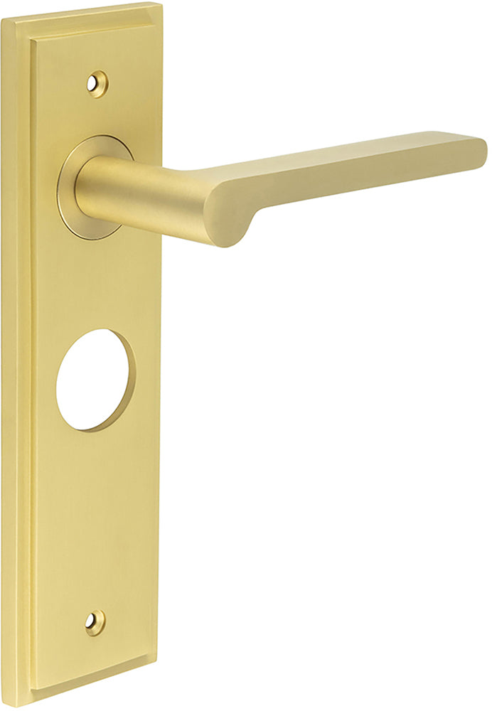 Blade Pattern Lever Handle On A Large Rectangular Backplate - Satin Brass