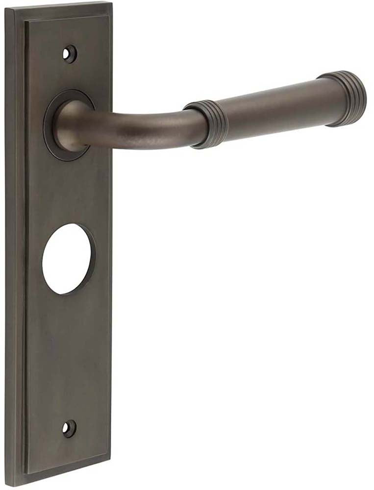 Classic Pattern Lever Handle With Ring Detail On A Large Rectangular Backplate - Dark Bronze