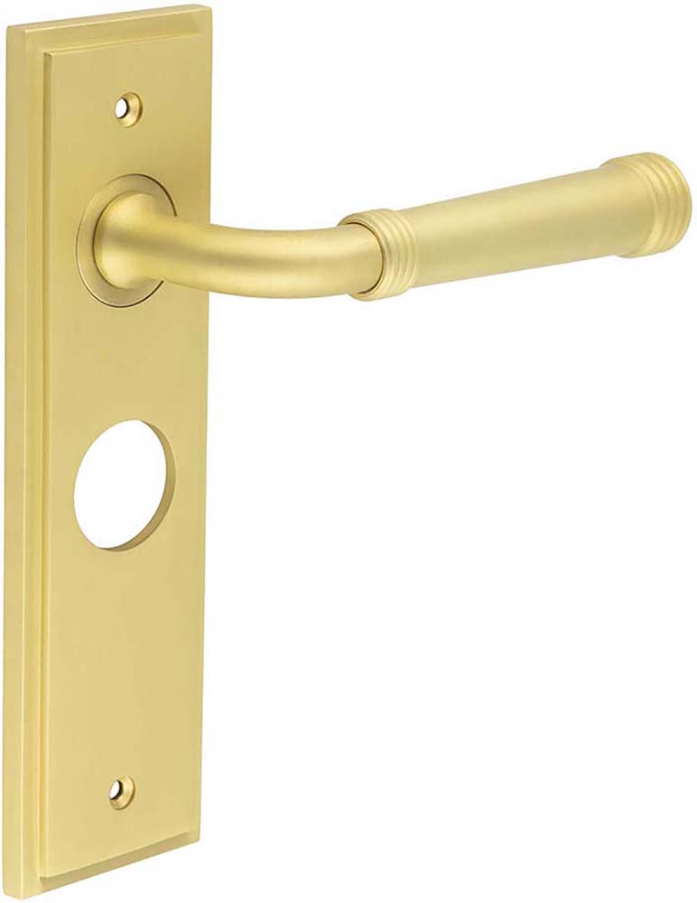 Classic Pattern Lever Handle With Ring Detail On A Large Rectangular Backplate - Satin Brass