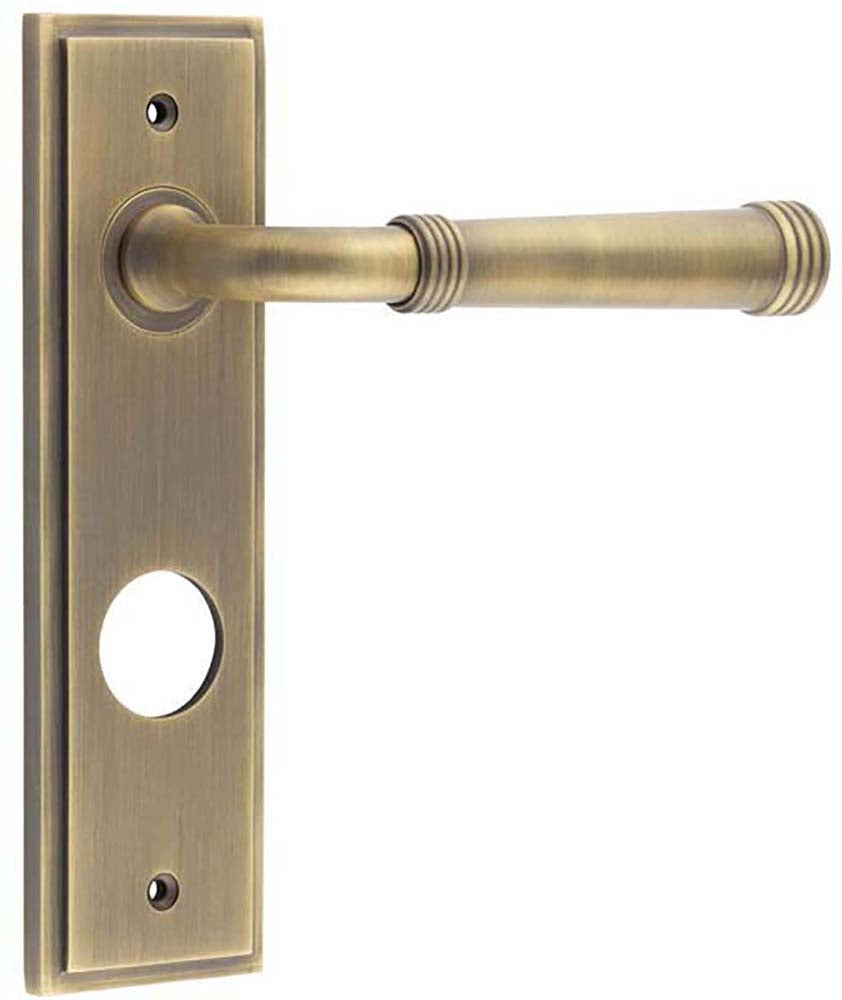 Classic Pattern Lever Handle With Ring Detail On A Large Rectangular Backplate - Antique Brass