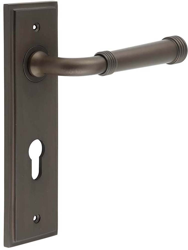 Classic Pattern Lever Handle With Ring Detail On A Large Rectangular Backplate - Dark Bronze