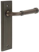 Classic Pattern Lever Handle With Ring Detail On A Large Rectangular Backplate - Dark Bronze (Lacquered)