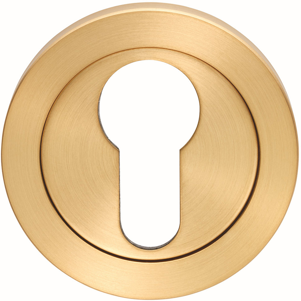 Euro Profile Escutcheon On Concealed Fix Round Rose - Satin Brass PVD