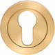 Euro Profile Escutcheon On Concealed Fix Round Rose - Satin Brass PVD Plated
