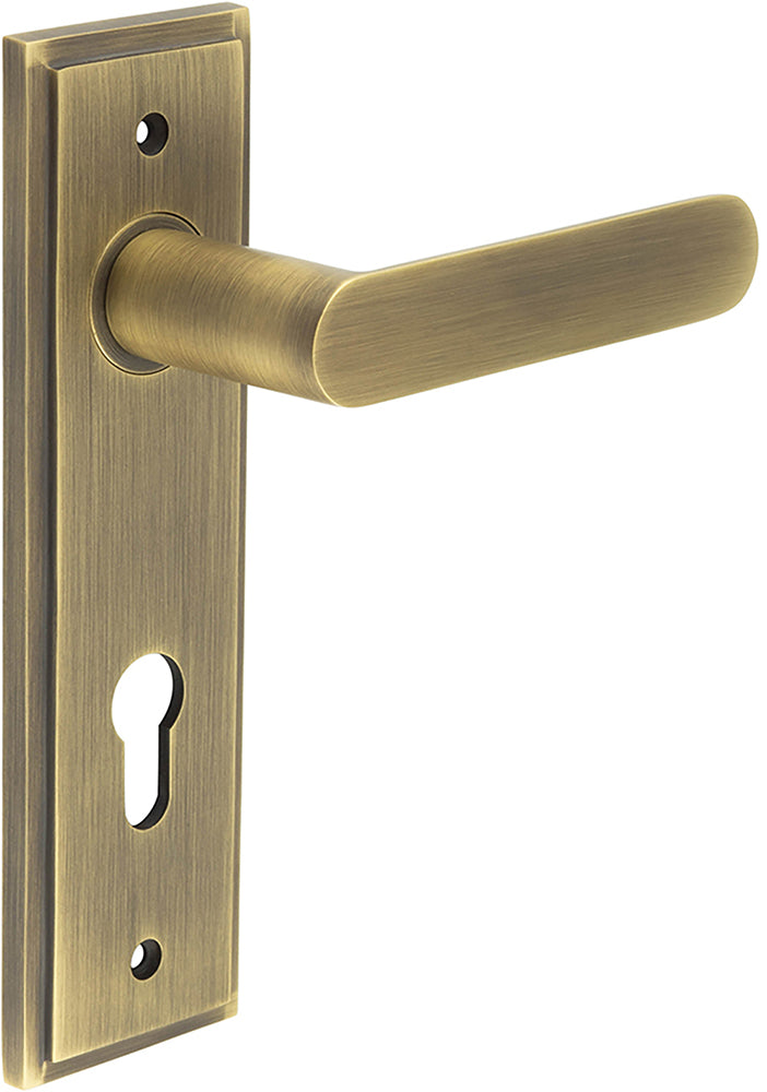 Flat Front Pattern Lever Handle With Rounded End On A Large Rectangular Backplate - Antique Brass