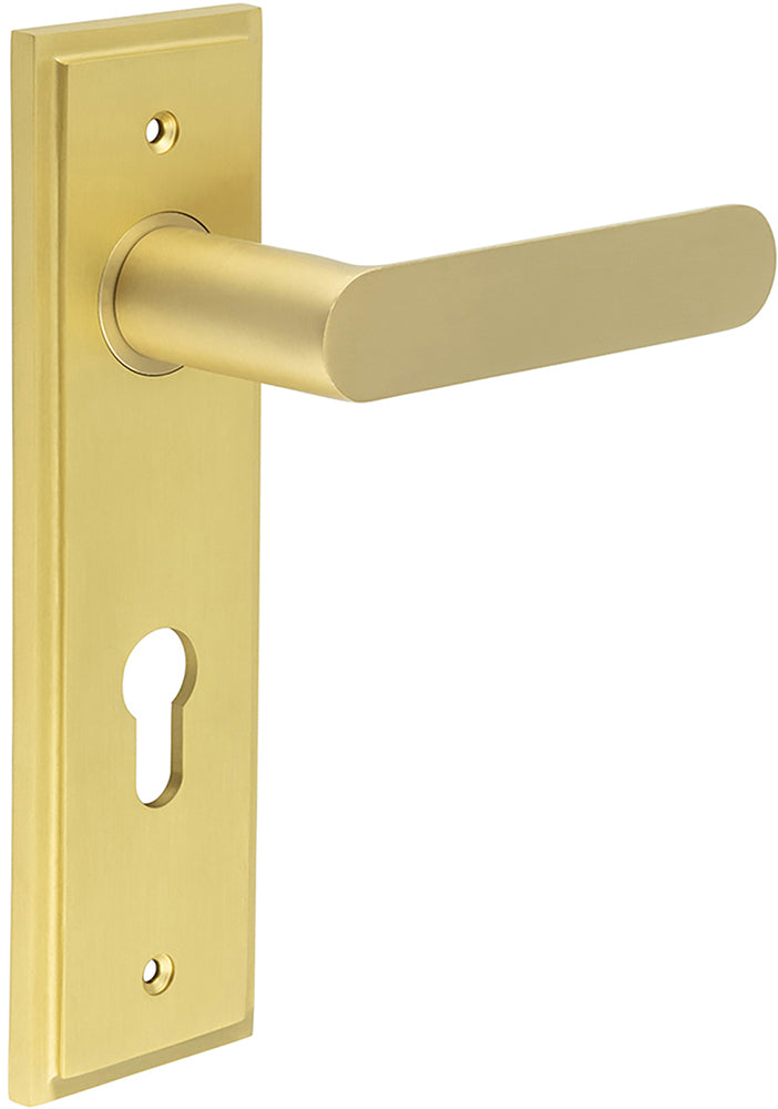 Flat Front Pattern Lever Handle With Rounded End On A Large Rectangular Backplate - Satin Brass