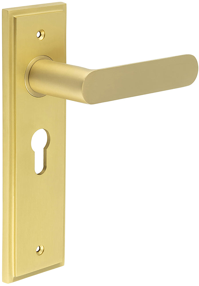 Flat Front Pattern Lever Handle With Rounded End On A Large Rectangular Backplate - Satin Brass