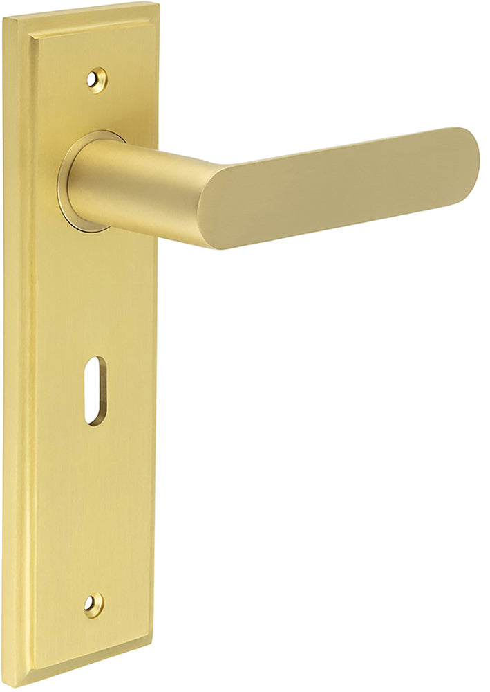 Flat Front Pattern Lever Handle With Rounded End On A Large Rectangular Backplate - Satin Brass
