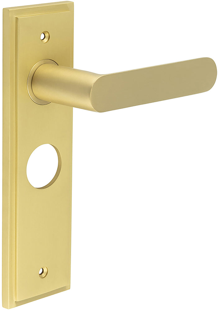 Flat Front Pattern Lever Handle With Rounded End On A Large Rectangular Backplate - Satin Brass