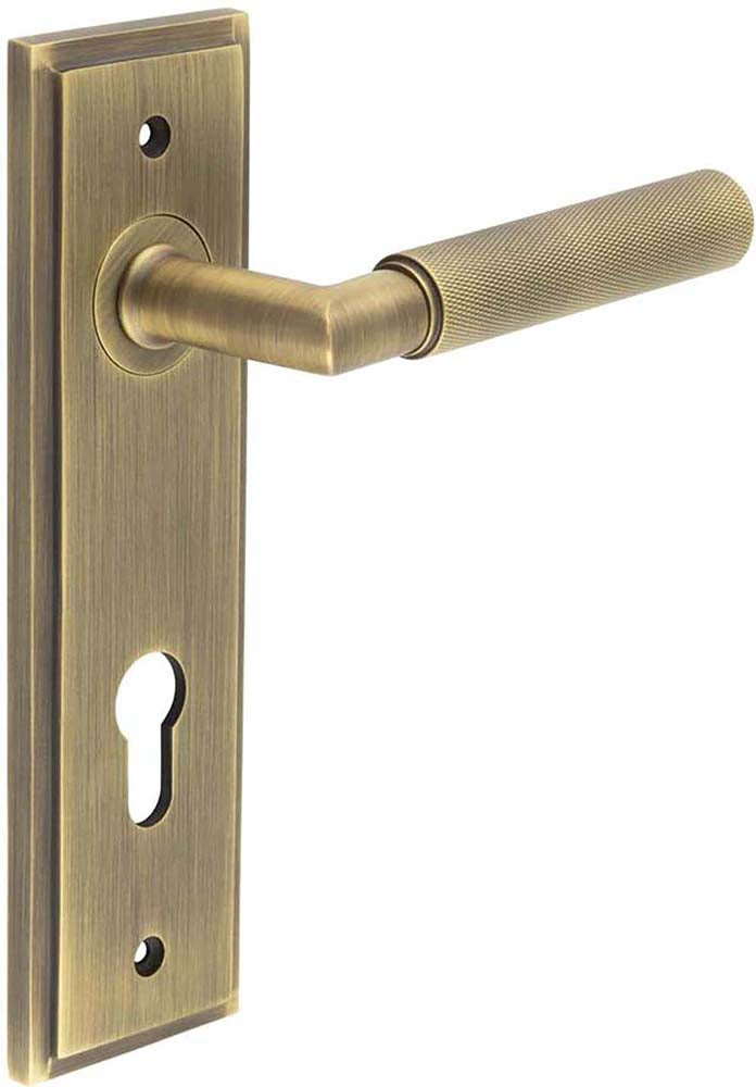 Knurled Pattern Lever Handle On A Large Rectangular Backplate - Antique Brass