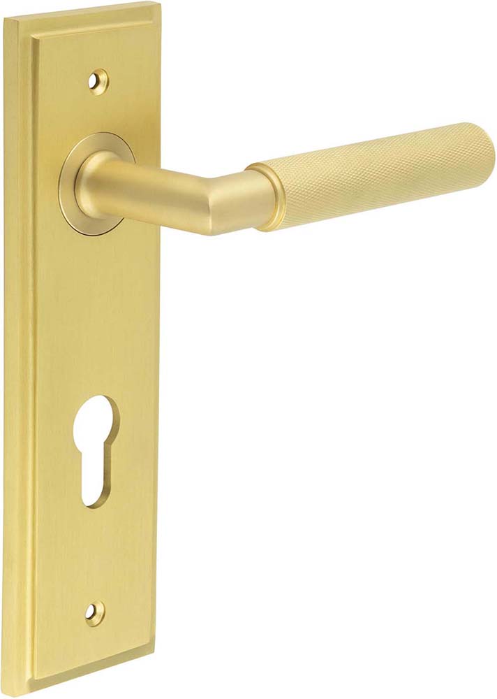 Knurled Pattern Lever Handle On A Large Rectangular Backplate - Satin Brass