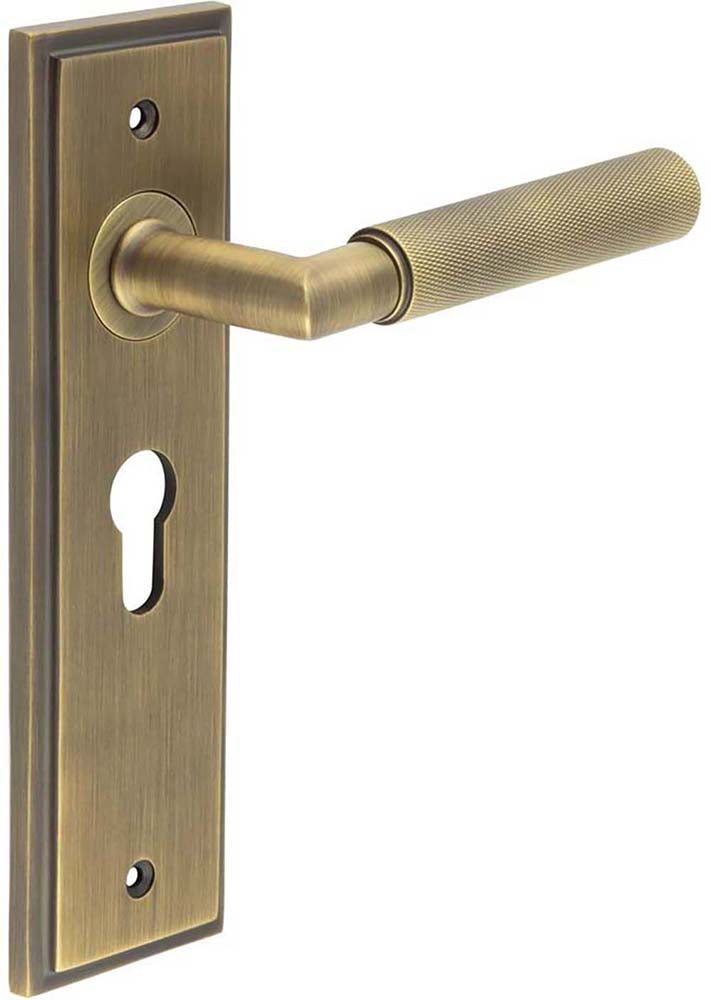 Knurled Pattern Lever Handle On A Large Rectangular Backplate - Antique Brass