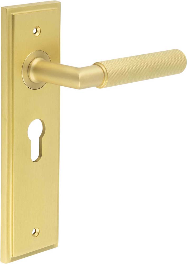 Knurled Pattern Lever Handle On A Large Rectangular Backplate - Satin Brass