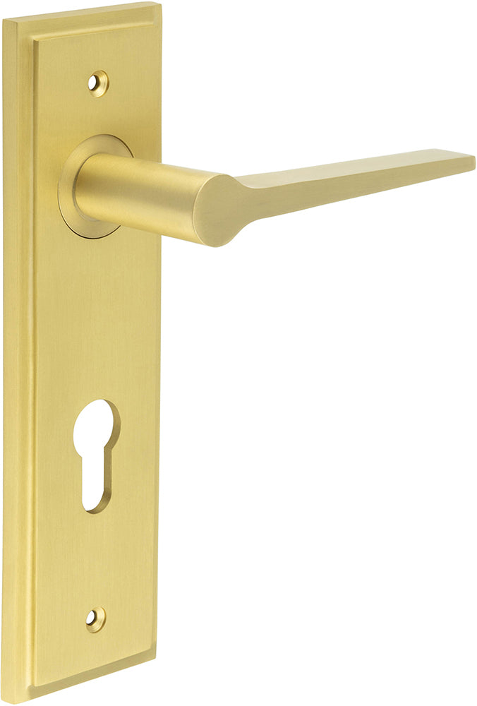 Tappered Pattern Lever Handle On A Large Rectangular Backplate - Satin Brass