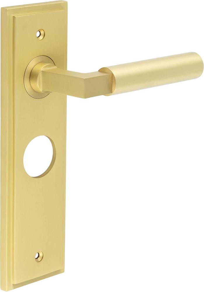 Tubular Pattern Lever Handle On A Large Rectangular Backplate - Satin Brass