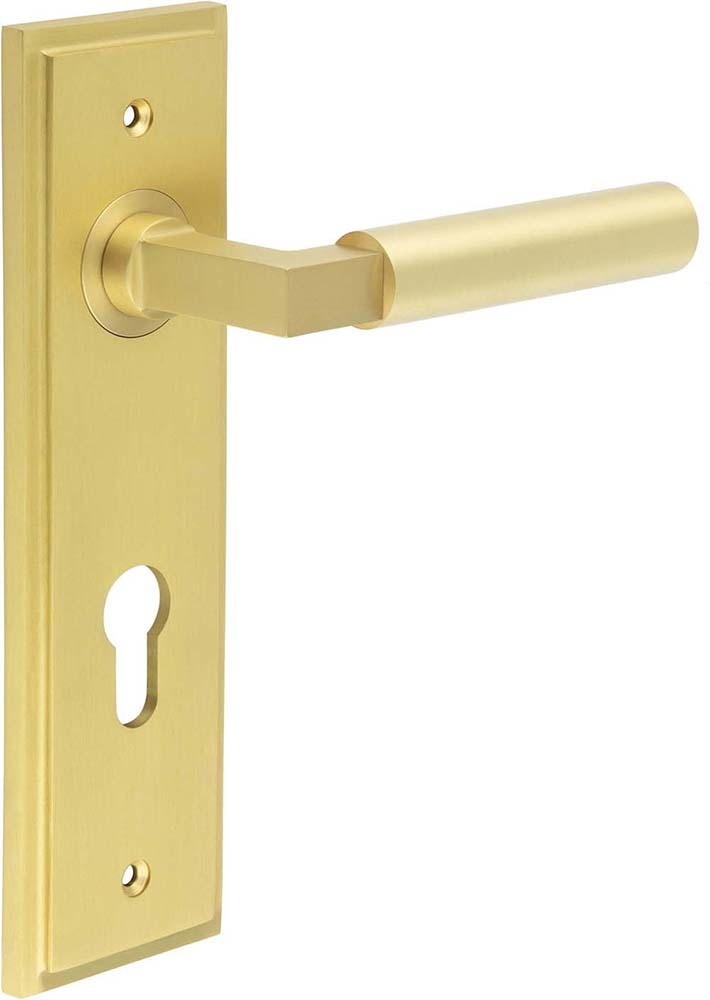 Tubular Pattern Lever Handle On A Large Rectangular Backplate - Satin Brass