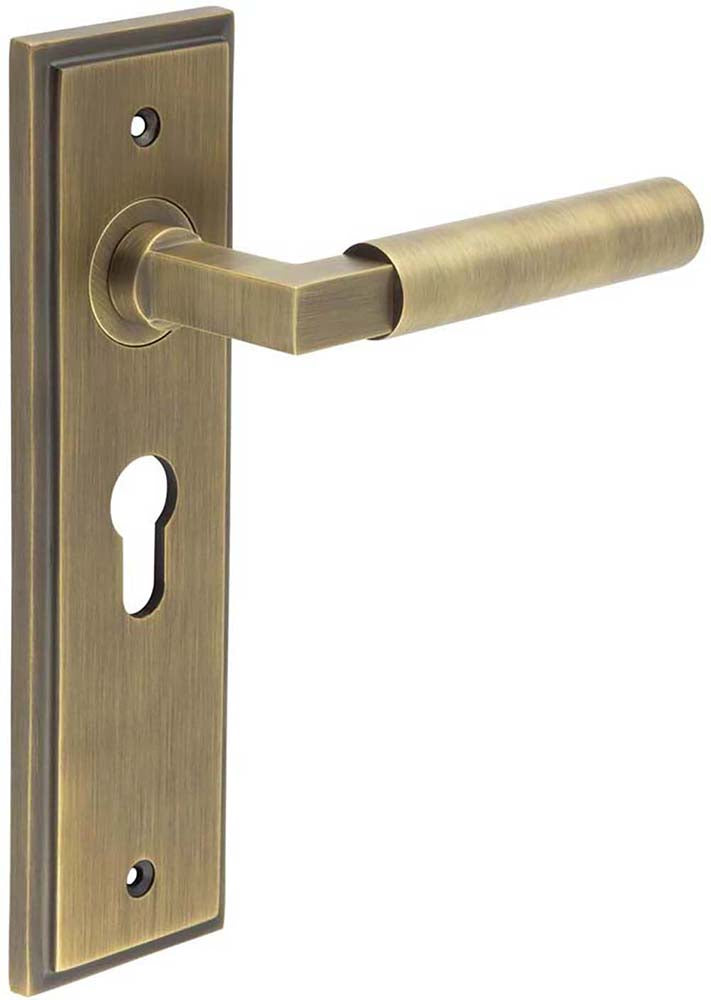 Tubular Pattern Lever Handle On A Large Rectangular Backplate - Antique Brass