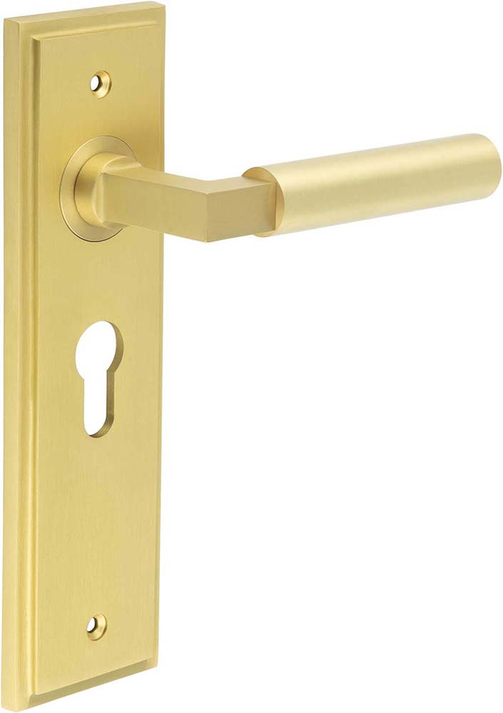 Tubular Pattern Lever Handle On A Large Rectangular Backplate - Satin Brass