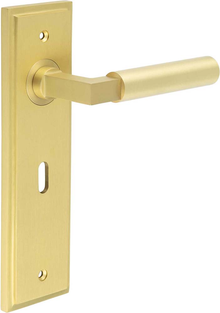 Tubular Pattern Lever Handle On A Large Rectangular Backplate - Satin Brass
