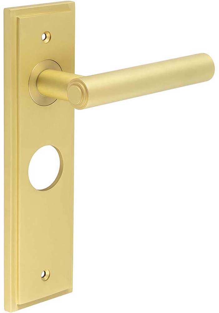 Tubular Pattern Lever Handle With Stepped Ends On A Large Rectangular Backplate - Satin Brass