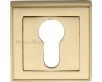 Euro Profile Square Escutcheon - Satin Brass