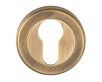 Euro Profile Escutcheon On Concealed Fix Round Rose - Antique Brass
