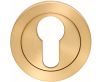 Euro Profile Escutcheon On Concealed Fix Round Rose - Satin Brass PVD