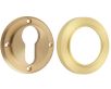 Euro Profile Escutcheon With Knurled Rose - 53mm x 10mm - Satin Brass (Lacquered)